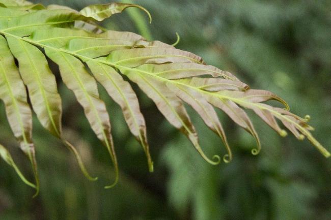 美中同时间亮出各自最新绝活！震撼全球