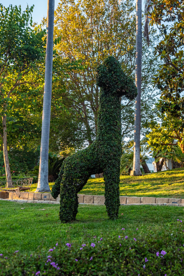 震惊上流社会 昔日首富如何陷入债务黑洞