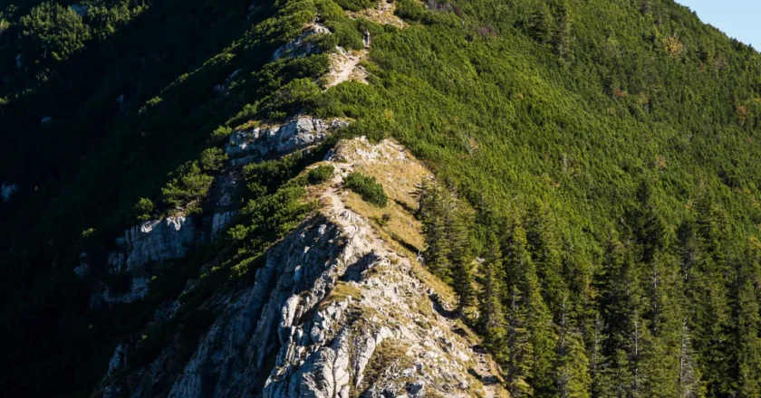 8个中国年轻人德国登山遇险 直升机都来了