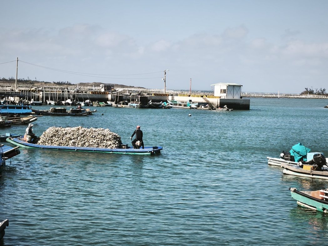 中共军演威吓,台南北门芦竹沟渔民作业如昔渔民怒轰麦搁乱了。记者谢进盛/摄影 中共军演威吓,台南北门芦竹沟渔民作业如昔渔民怒轰麦搁乱了。记者谢进盛/摄影
