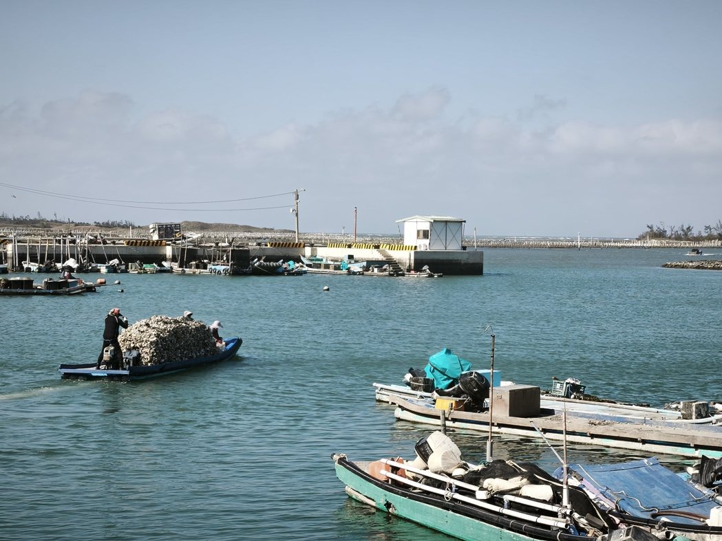 中共军演威吓,台南北门芦竹沟渔民作业如昔,渔民怒轰麦搁乱了。记者谢进盛/摄影 中共军演威吓,台南北门芦竹沟渔民作业如昔,渔民怒轰麦搁乱了。记者谢进盛/摄影