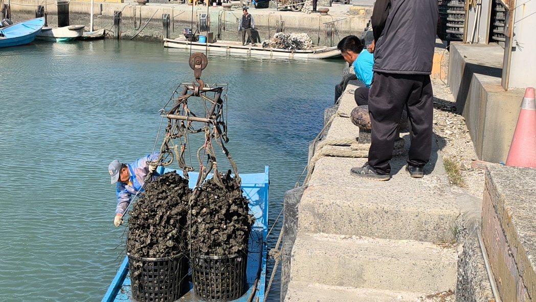 中共军演威吓,台南北门芦竹沟渔民作业如昔,渔民怒轰麦搁乱了。记者谢进盛/摄影 中共军演威吓,台南北门芦竹沟渔民作业如昔,渔民怒轰麦搁乱了。记者谢进盛/摄影