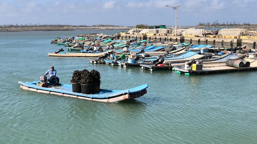 中共军演威吓,台南北门芦竹沟渔民作业如昔,渔民怒轰麦搁乱了。记者谢进盛/摄影 中共军演威吓,台南北门芦竹沟渔民作业如昔,渔民怒轰麦搁乱了。记者谢进盛/摄影