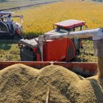 习近平指示「三农工作」：持续巩固拓展脱贫攻坚成果