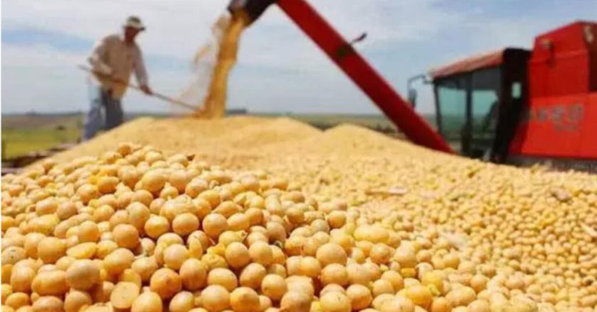 再下单10船  中国持续购入美大豆