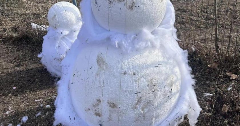 用棉花仿雪遭吐槽 郑州「梦幻雪乡」被令停业整顿