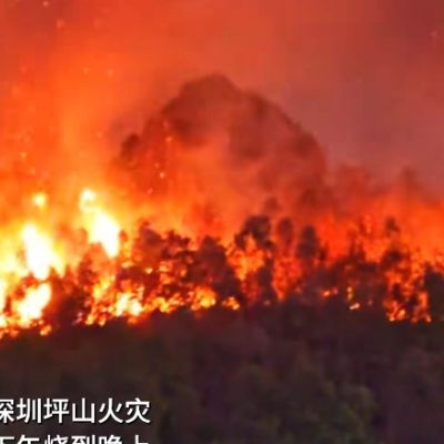 非常恐怖   深圳技术大学附近突发山火