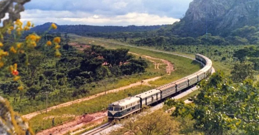 讲述坦尚铁路的故事   王毅：打造铁路繁荣带和经济发展走廊