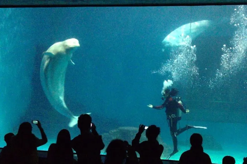 她逃离了人间地狱，现在，曝光所有真相