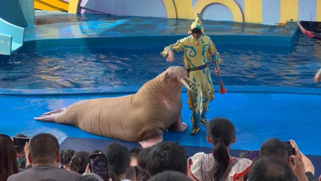 她逃离了人间地狱，现在，曝光所有真相