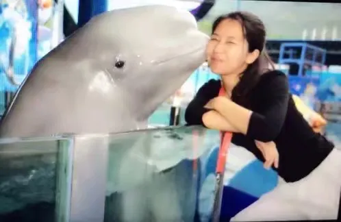 她逃离了人间地狱，现在，曝光所有真相