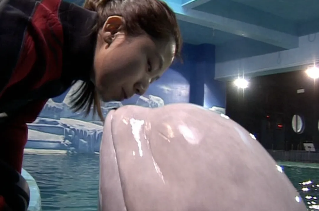 她逃离了人间地狱，现在，曝光所有真相