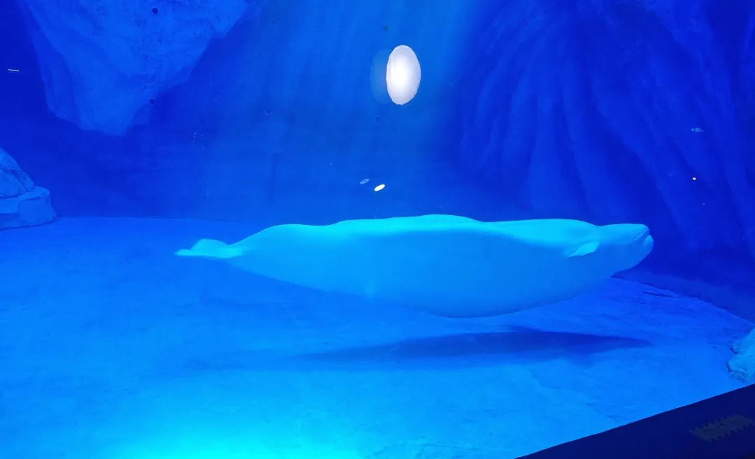 她逃离了人间地狱，现在，曝光所有真相