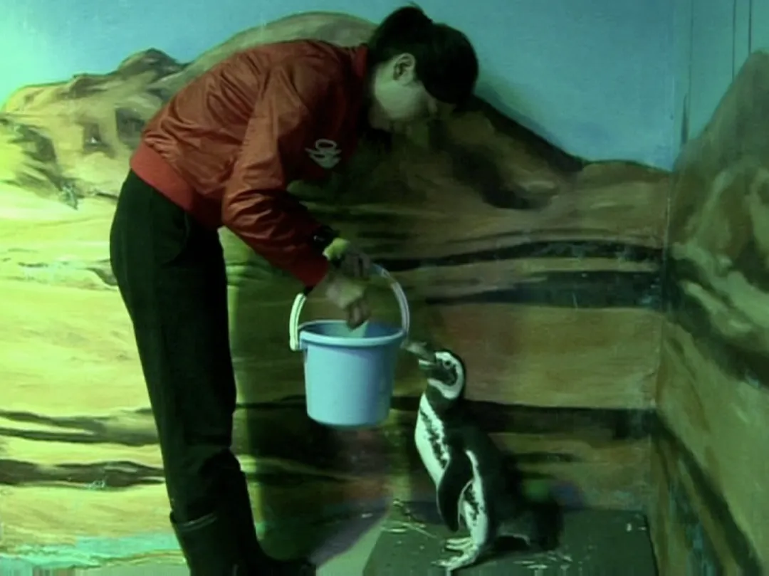 她逃离了人间地狱，现在，曝光所有真相