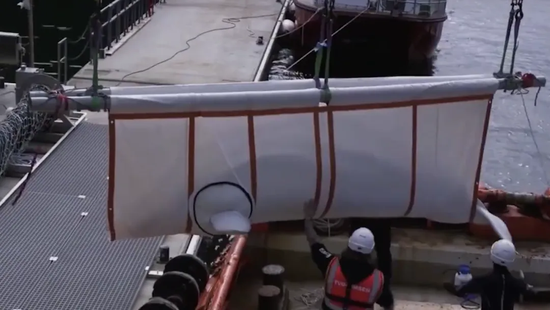 她逃离了人间地狱，现在，曝光所有真相