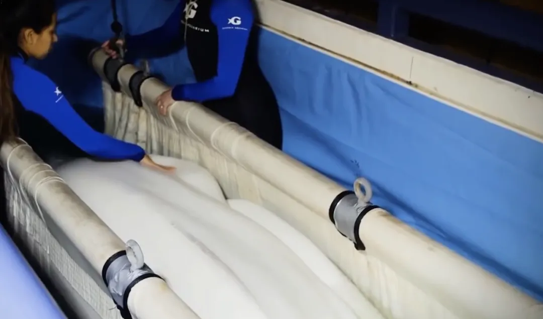 她逃离了人间地狱，现在，曝光所有真相