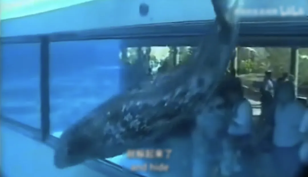 她逃离了人间地狱，现在，曝光所有真相