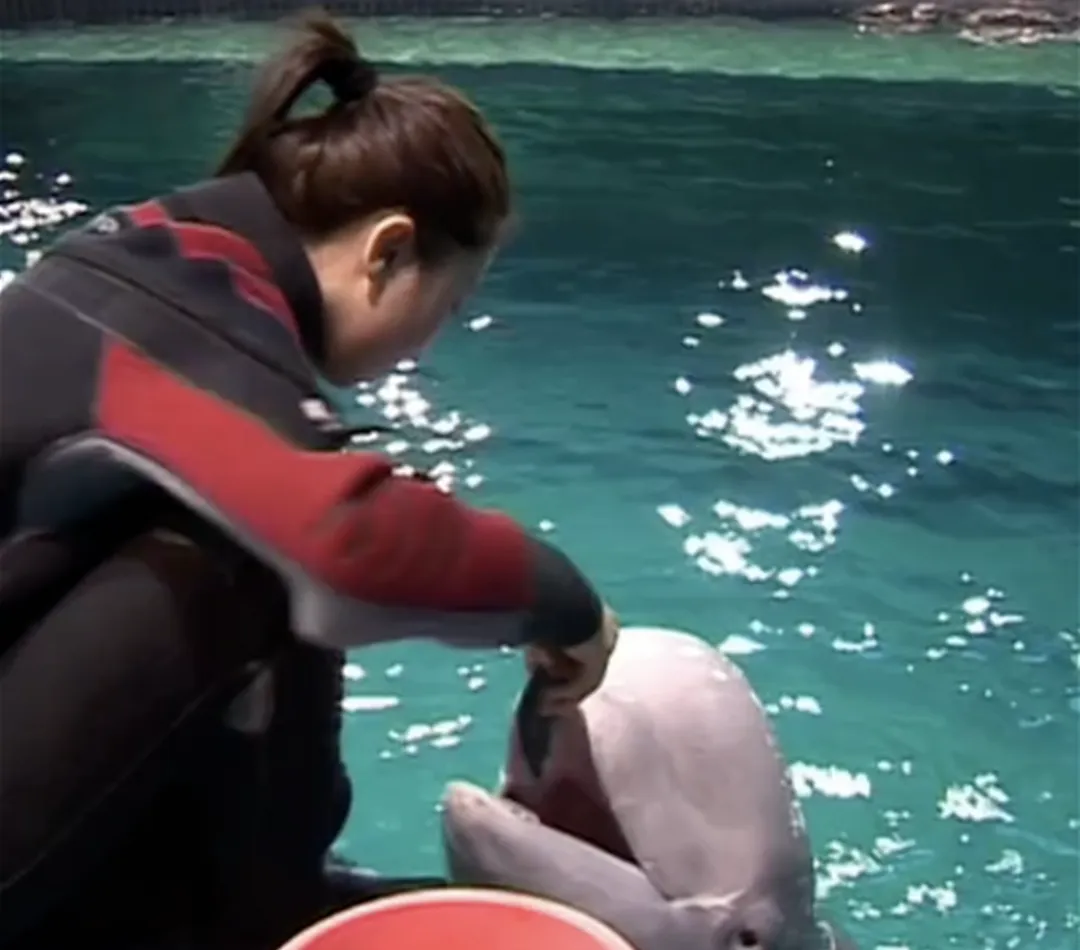 她逃离了人间地狱，现在，曝光所有真相