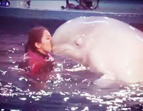 她逃离了人间地狱，现在，曝光所有真相