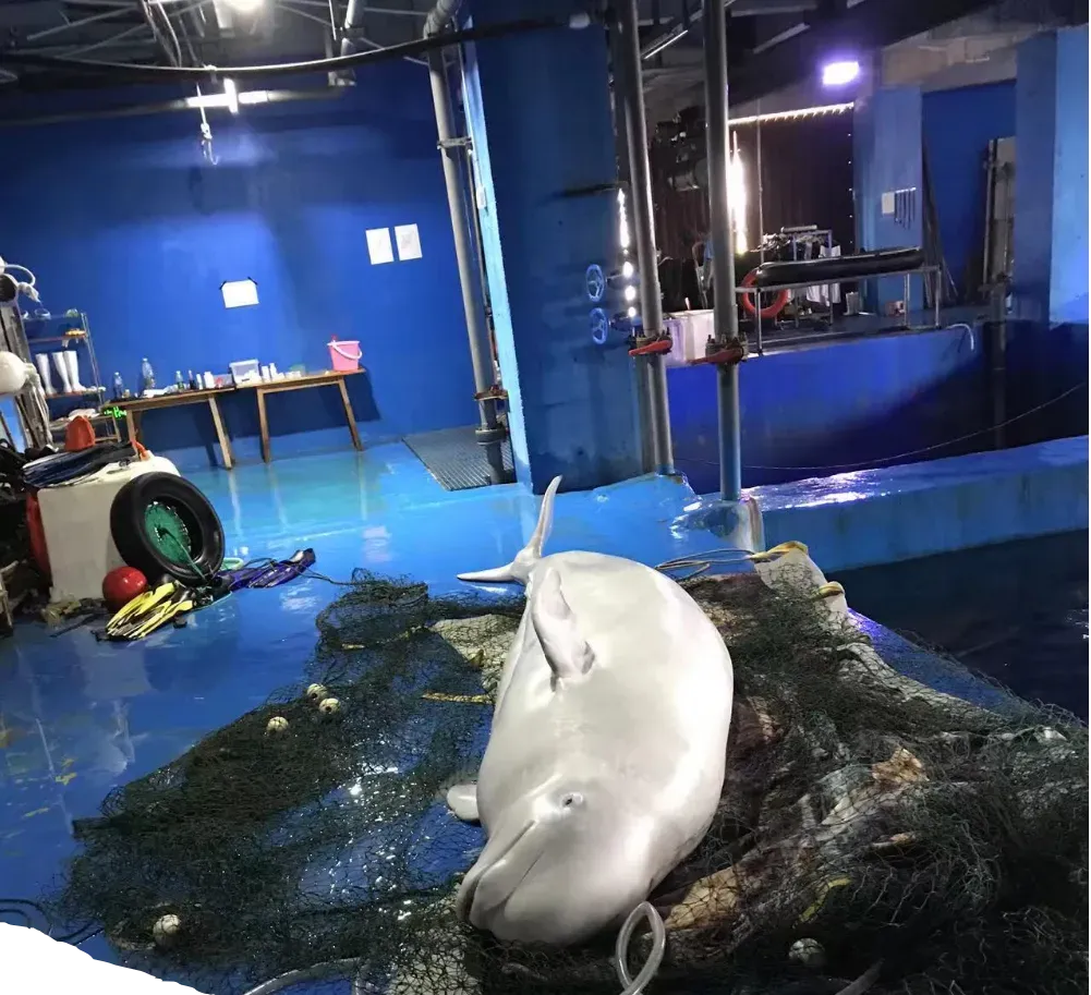 她逃离了人间地狱，现在，曝光所有真相