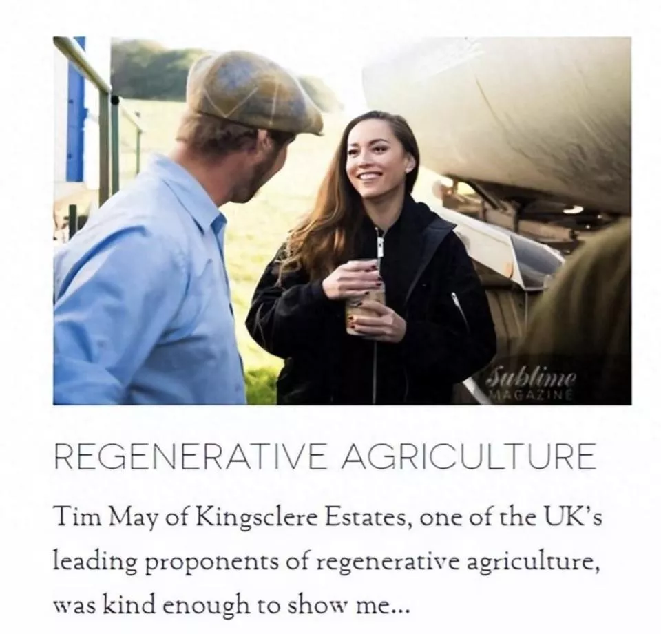 刘碧丽和原配斗了5年,拿5亿分手费全身而退,现定居英国过得滋润