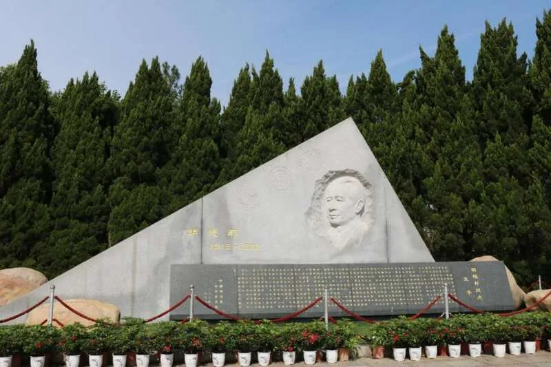 聂卫平: 当时就我一个人替胡耀邦说话