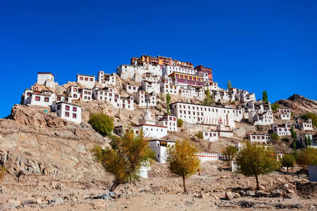 来到印度藏人区，拉达克