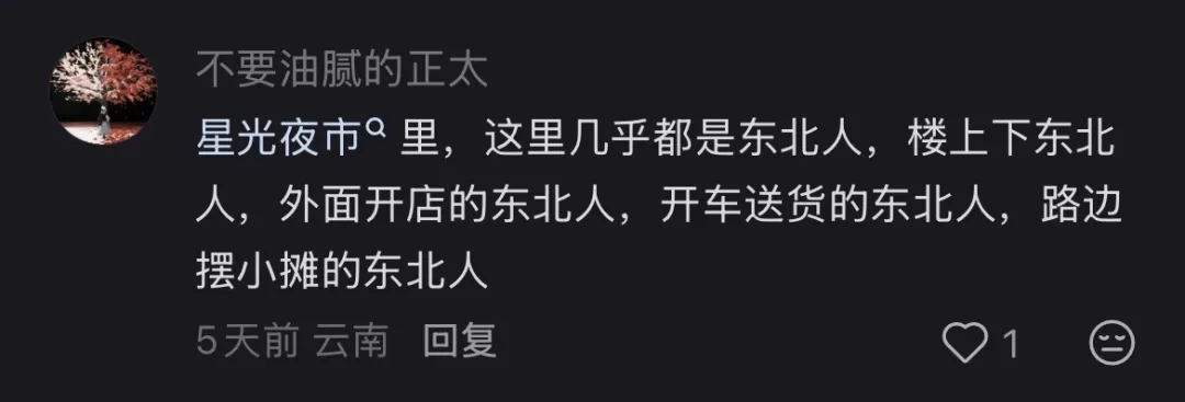 西双版纳快成“东北版纳”，当地人不开心