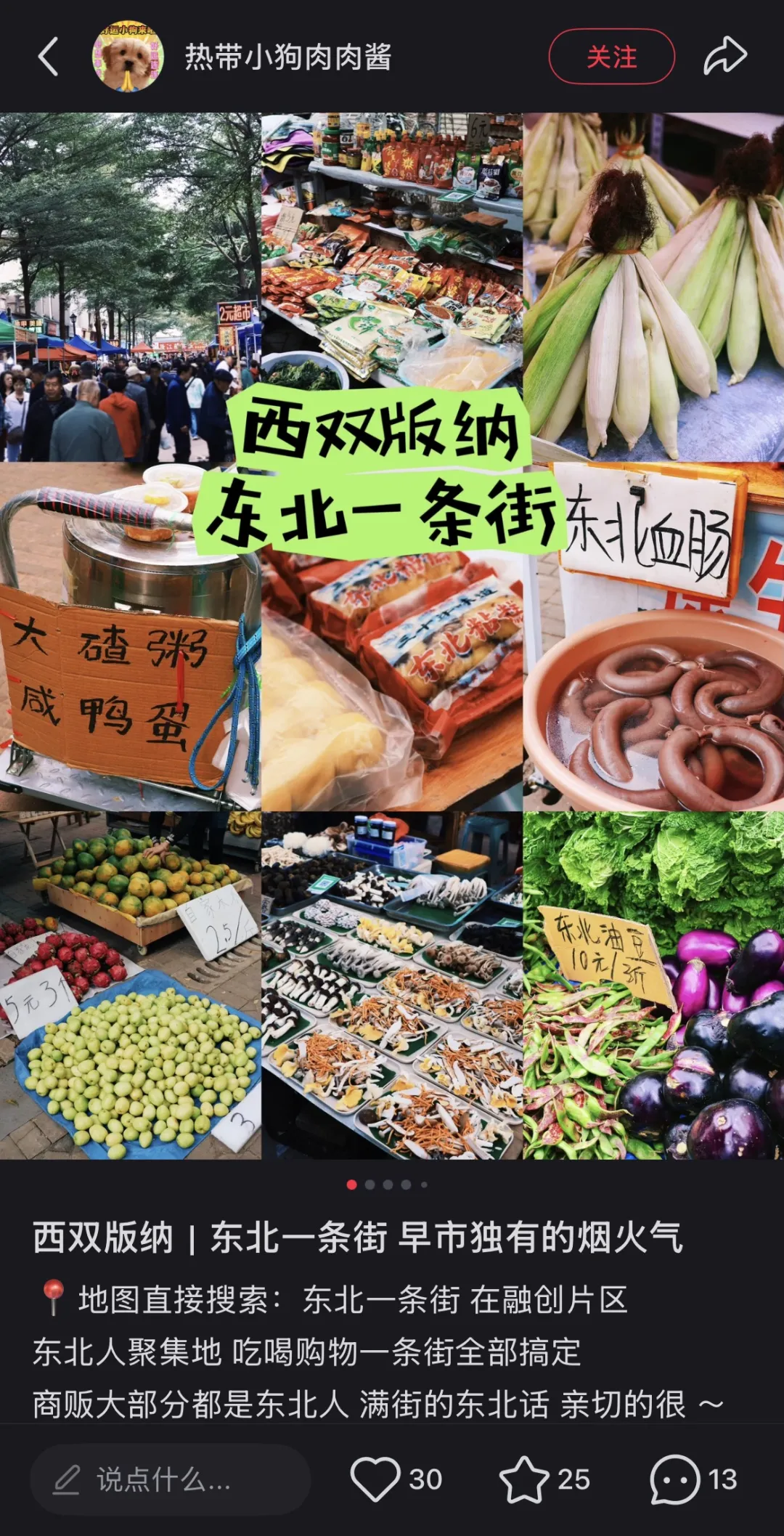 西双版纳快成“东北版纳”，当地人不开心