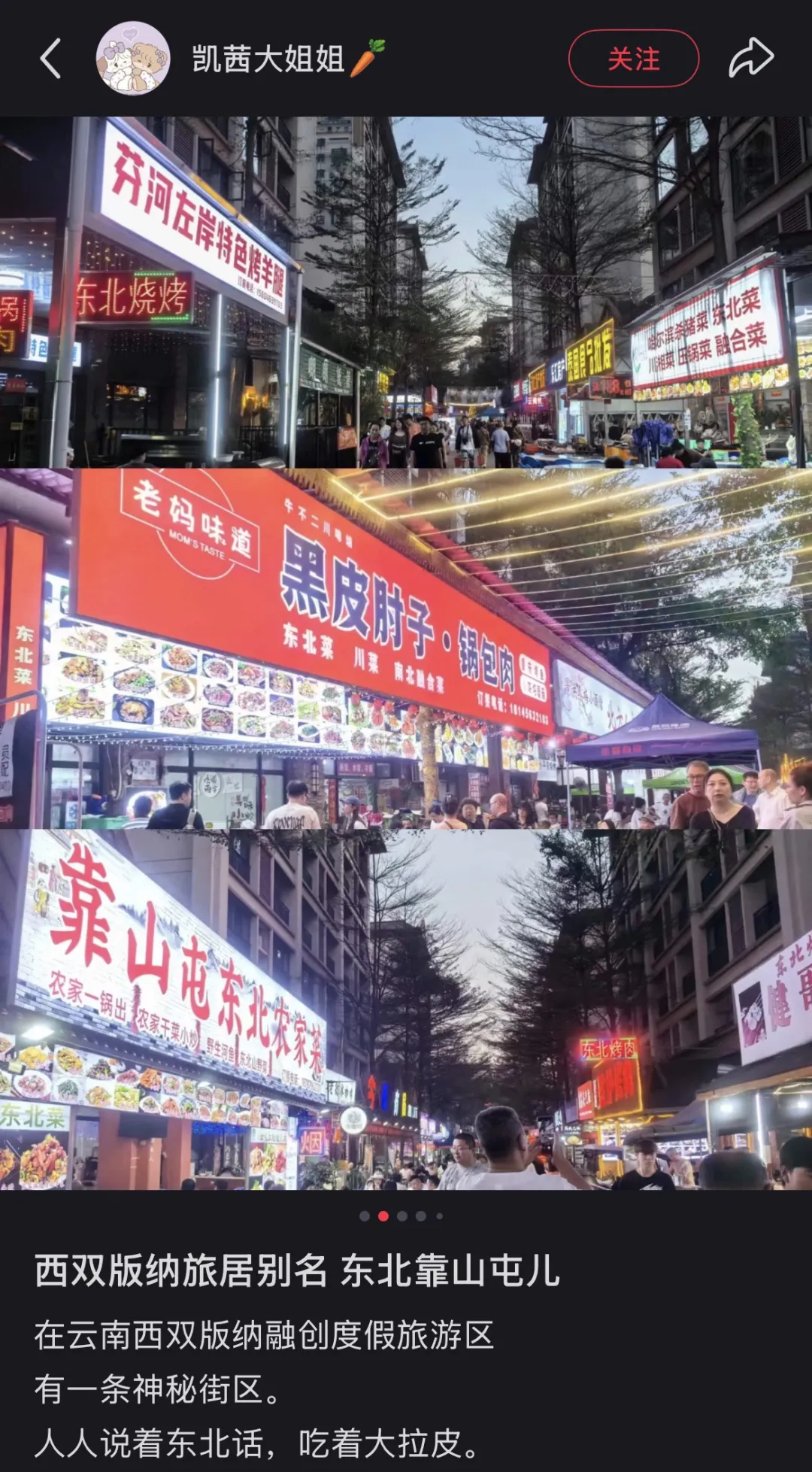 西双版纳快成“东北版纳”，当地人不开心