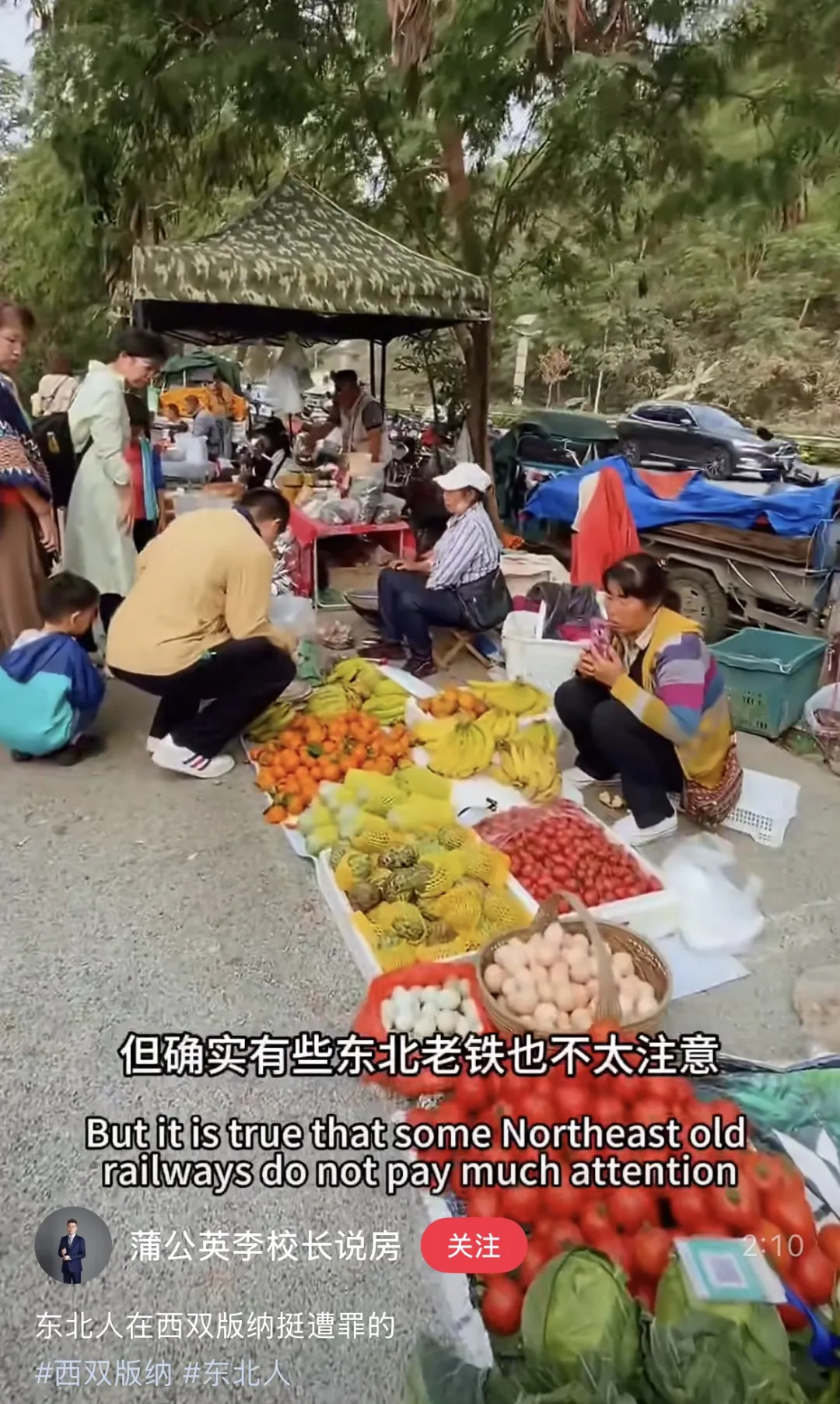 西双版纳快成“东北版纳”，当地人不开心