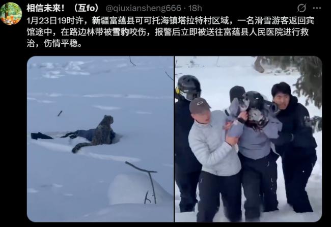 新疆雪豹伤人 游客“满面是血”痛苦画面曝