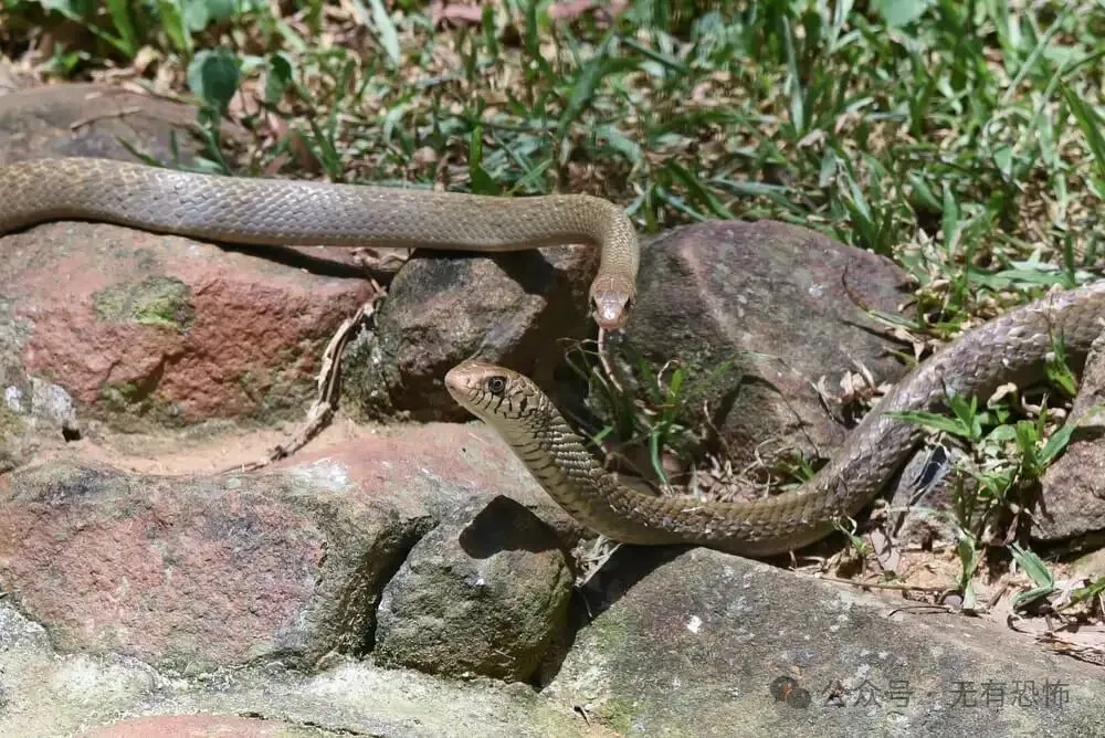 地球上前10个绝对禁止进入的地方 地球上前10个绝对禁止进入的地方