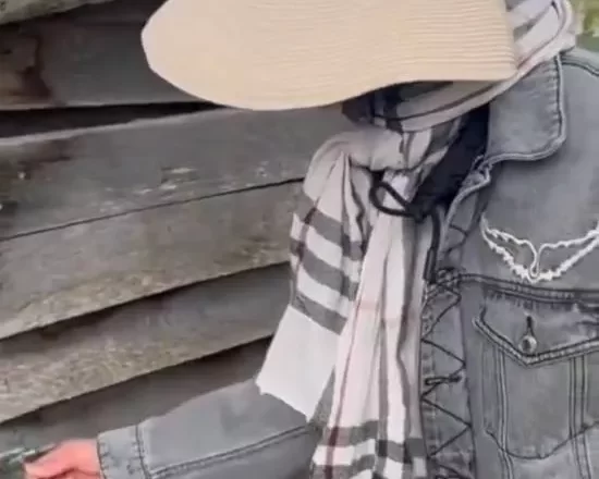 62岁张曼玉晒退休生活!法国乡下田园生活