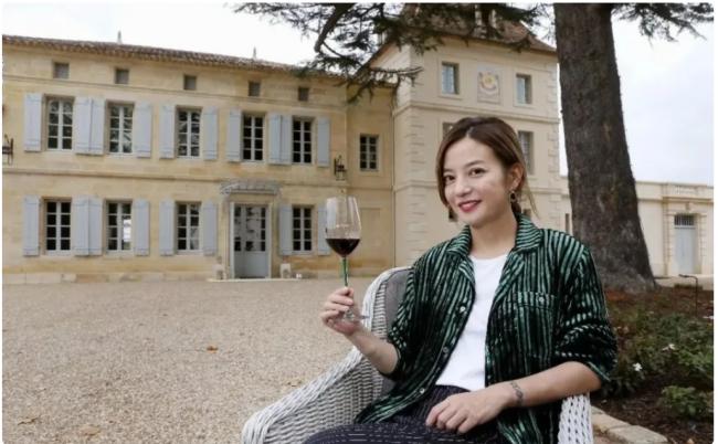 李湘，赵薇，黄有龙，一条跨境电诈黑金链的瓦解