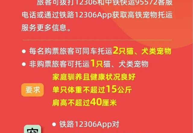 春节假期前夜火车票今日开抢