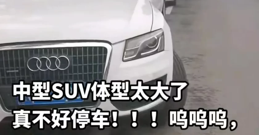 2026年,停不好车的现象可能愈演愈烈