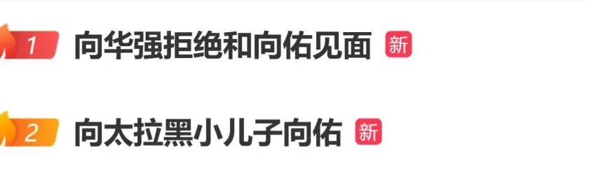 向华强拒绝和向佑见面,向太陈岚拉黑小儿子向佑