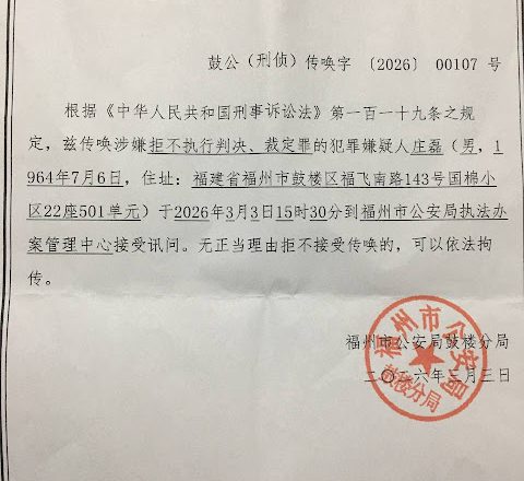 二会期间 庄磊被刑事传唤通报