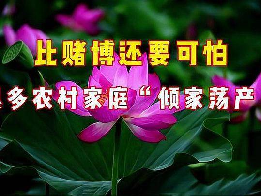 比赌博还可怕的东西,正悄悄毁掉中国无数家庭