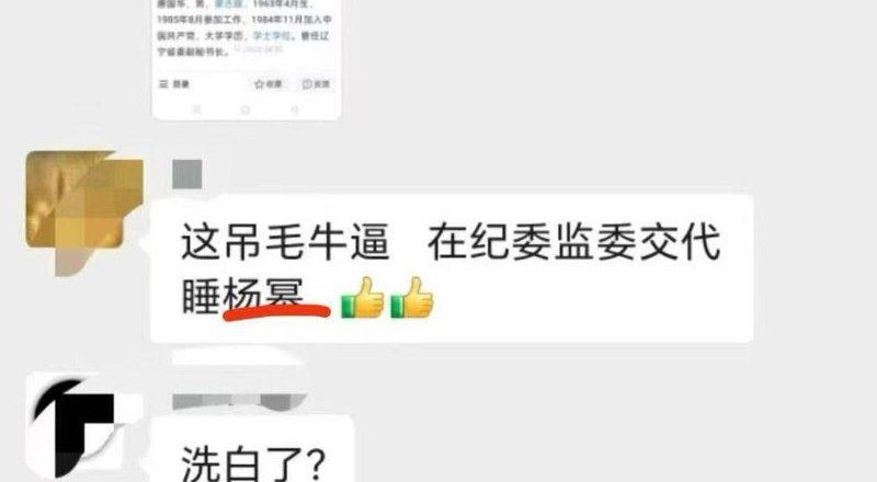 传中共高官落马对纪委招供“睡过杨幂” 网炸了