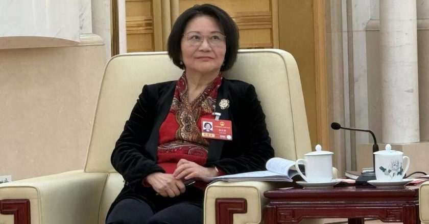 中共人大代表陈云英:登陆不熟悉十五五规划 像瞎子摸象