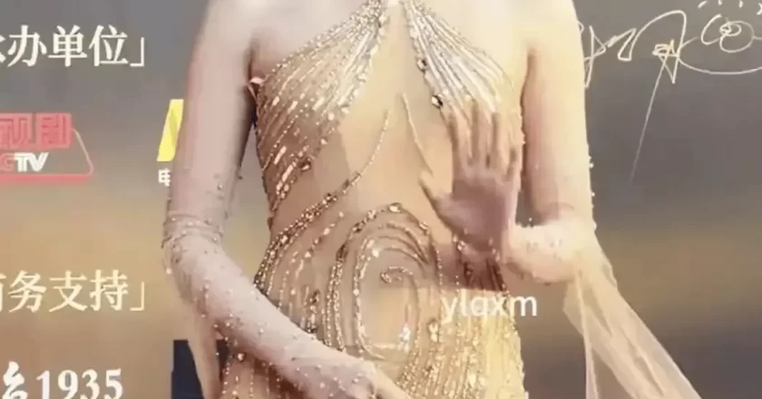 辛芷蕾红毯被骂副乳没遮:最讽刺的,是她根本没在讨好谁