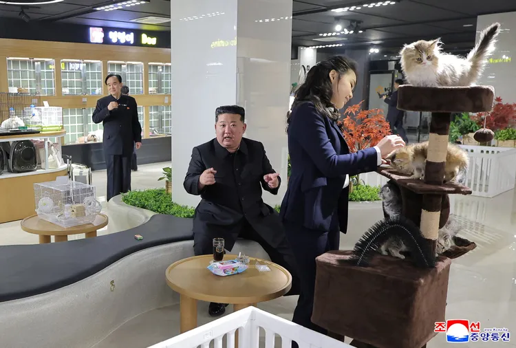 金主爱现身 这次改“逗猫” 金主爱现身 这次改“逗猫”