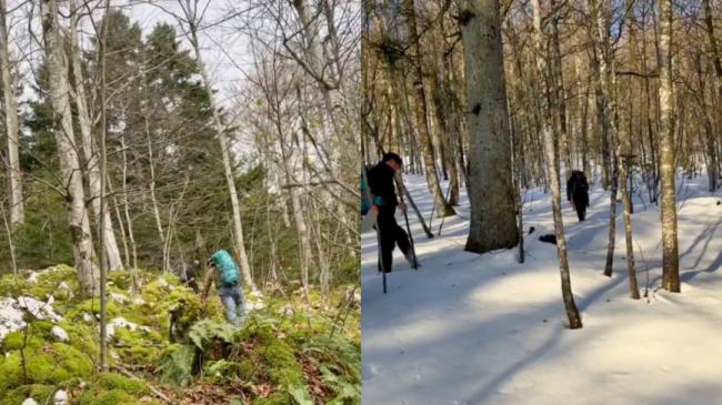 徒步穿越雪山隧道 中国社媒热传走线德国视频 徒步穿越雪山隧道 中国社媒热传走线德国视频