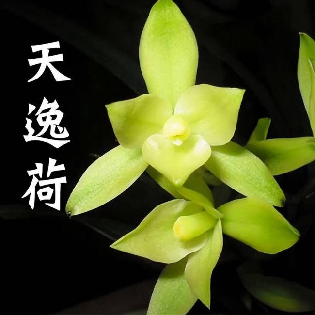 跌落神坛的八大顶级商品,号称一件能顶一套房 跌落神坛的八大顶级商品,号称一件能顶一套房