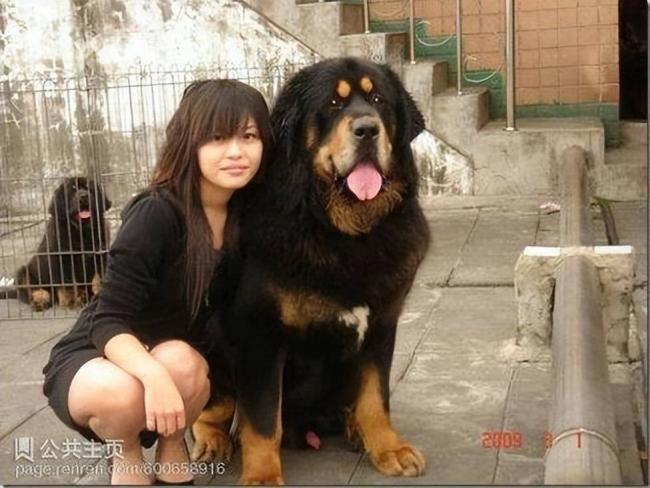 跌落神坛的八大顶级商品,号称一件能顶一套房 跌落神坛的八大顶级商品,号称一件能顶一套房