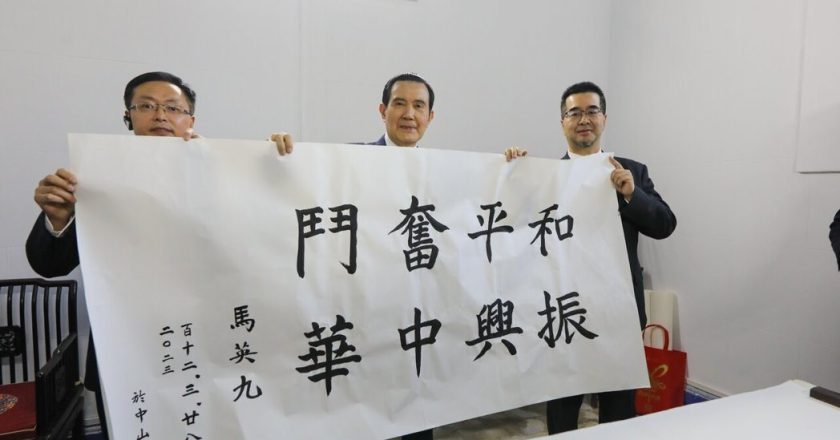 为拍美照女子爬上樱花树 成功把树连根拔起