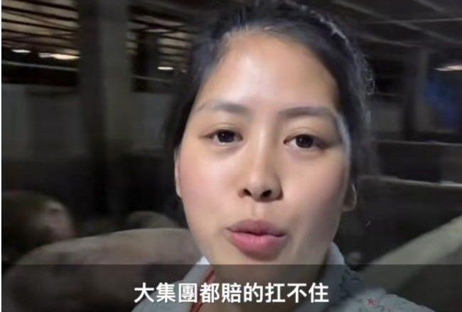 卖一头猪亏500元 中共“托举”养猪业入寒冬