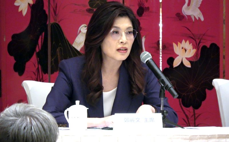 王宏仁分析,郑丽文提到中华民族伟大复兴,使台湾主体性论述倒退。 (图/中央社)
